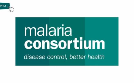 Administrative Officer at Malaria Consortium (NGO)
