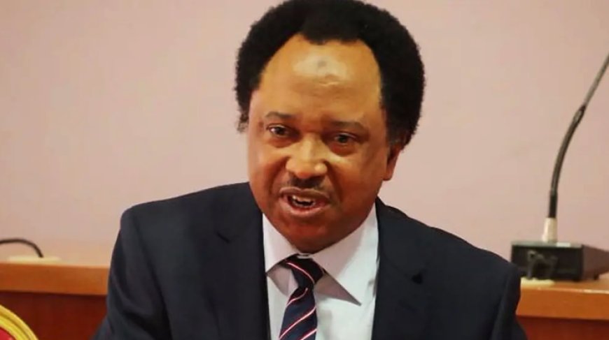 ‘It’s comical,’ Shehu Sani slams Reps proposal for 31 new states