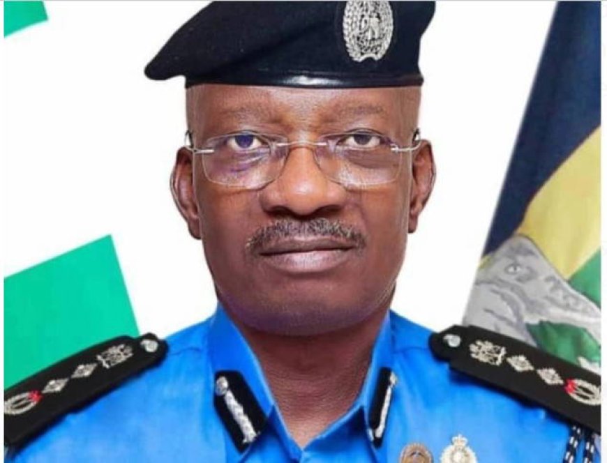 Those behind Osun LG crisis won’t go unpunished – IGP