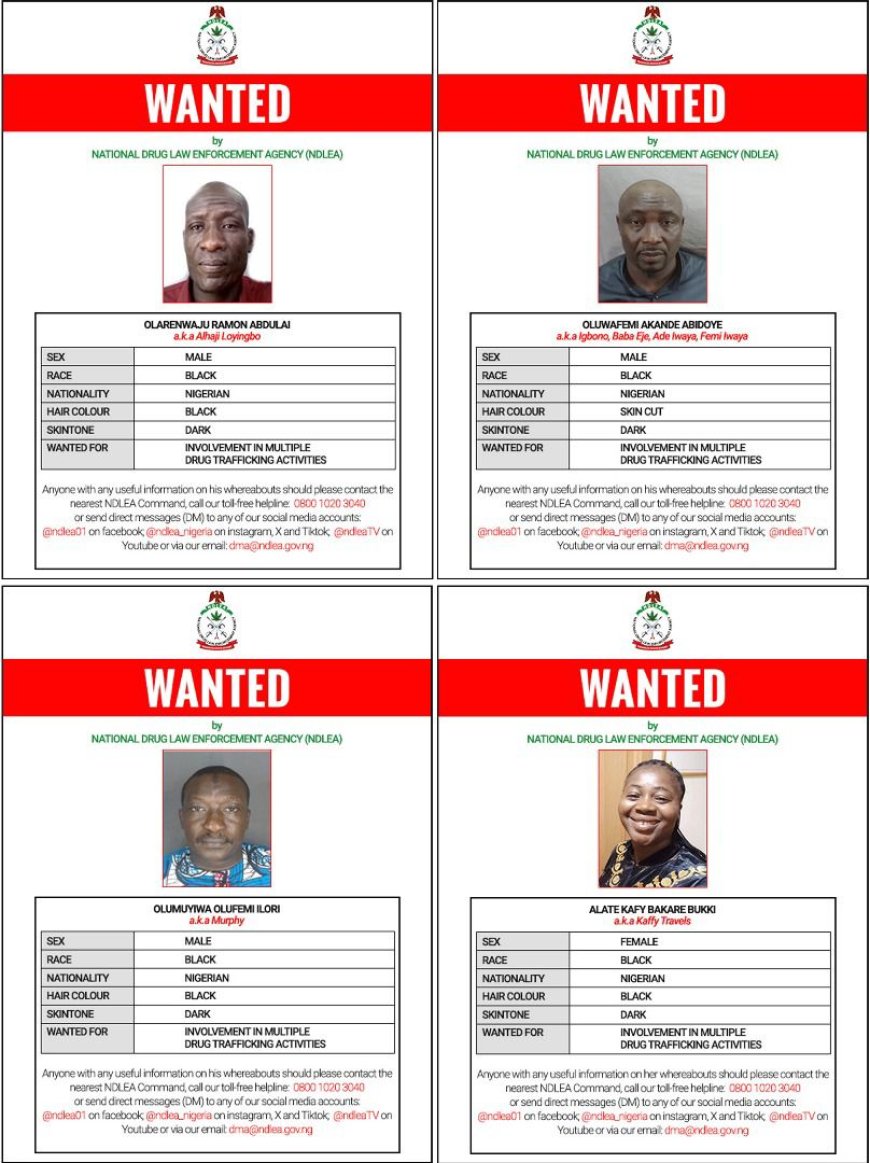 NDLEA Declares 4 Members Of ‘Barryshine’ Drug Cartel Wanted Over Cocaine Shipments To Saudi Arabia, Qatar, Others