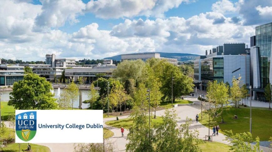 2025 University College Dublin Scholarship (Government of Ireland) | Fully Funded