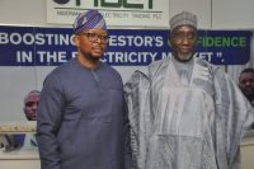 FG assures on stable, transparent electricity trading