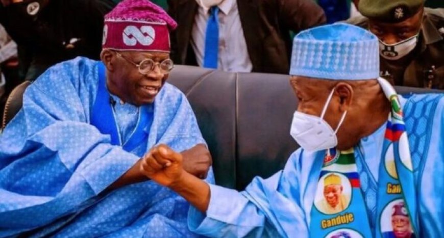 Tinubu’s reelection: ACF, others tackle Ganduje over no-vacancy comment