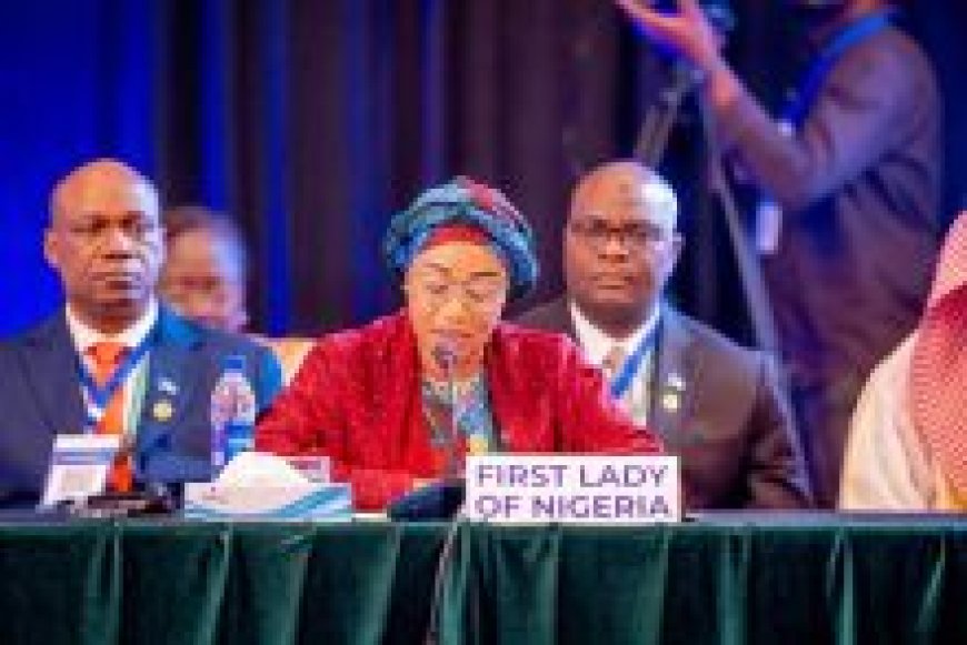 First Lady calls for sustainable health financing in Africa