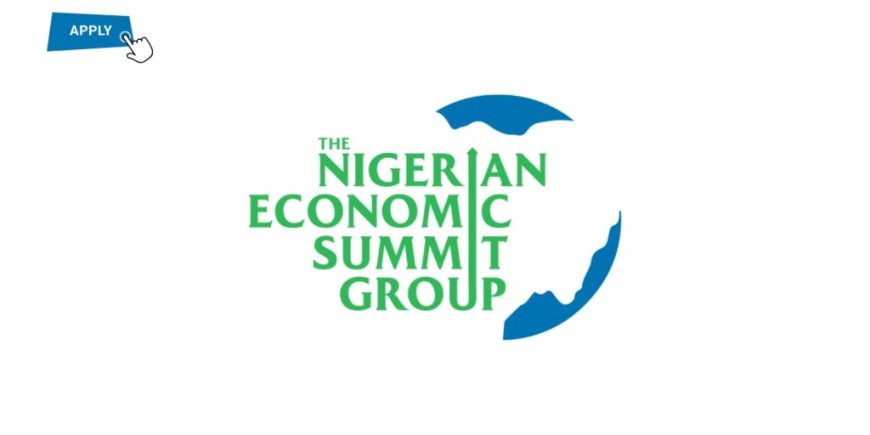 Finance Officer at Nigerian Economic Summit Group (NESG)