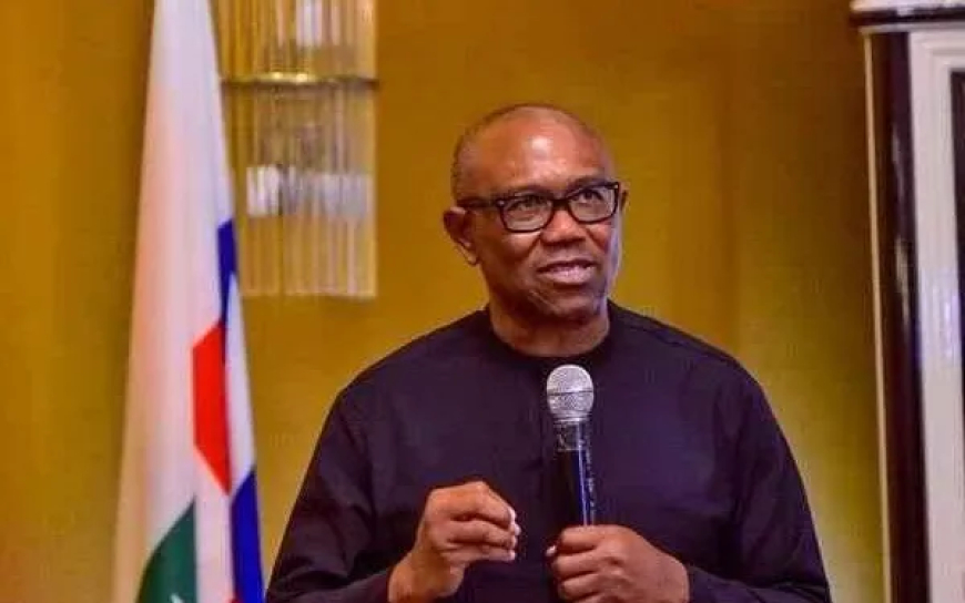 2027: ZLP denies endorsing Peter Obi as presidential candidate