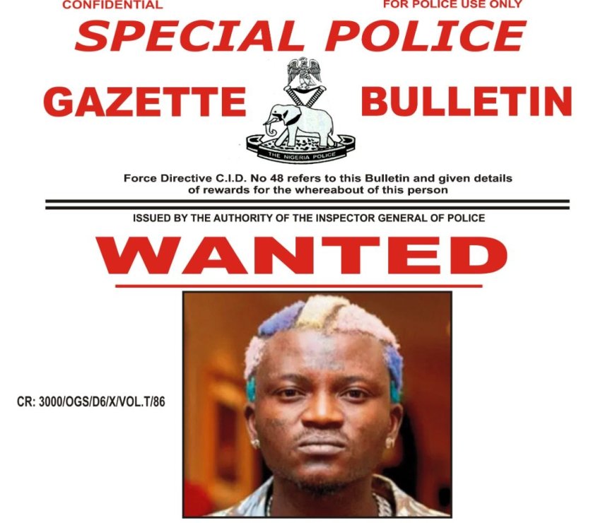 Ogun police declare Portable wanted