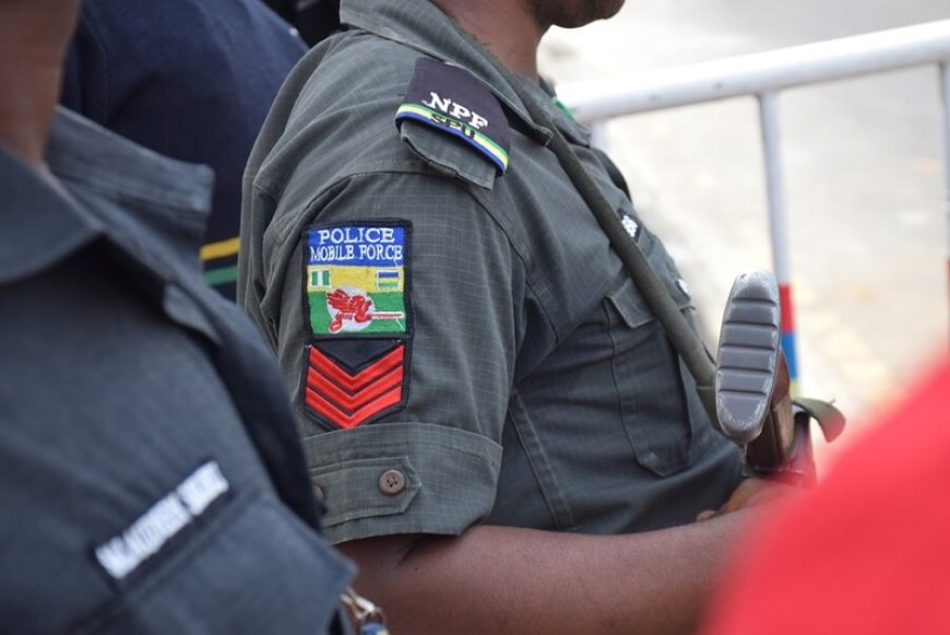 Defendants robbed their victims wearing DSS uniforms – policeman tells court