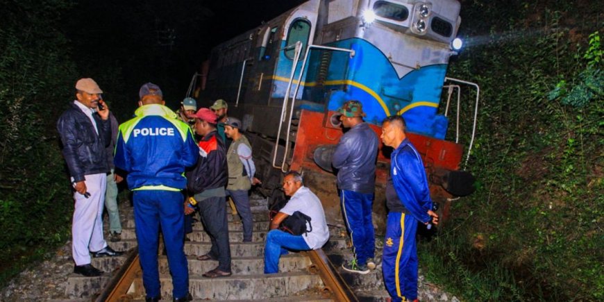 Six elephants killed as train collides with herd in Sri Lanka