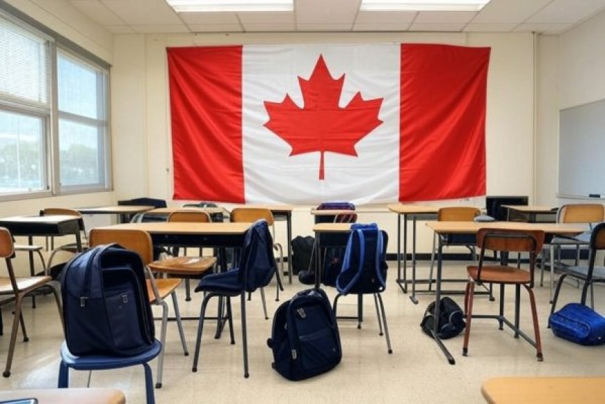 50,000 int’l students enrolled in Canadian institutions but failed to show in class