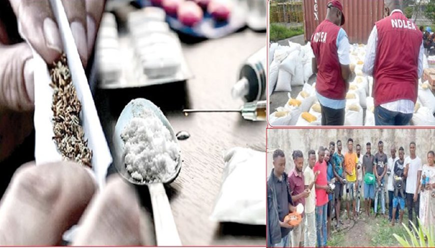 3m Nigerians suffer drug addiction in northwest – NDLEA