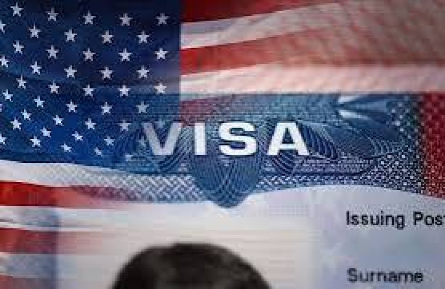 UK, Nigeria missing as US releases eligible countries for visa waiver programme