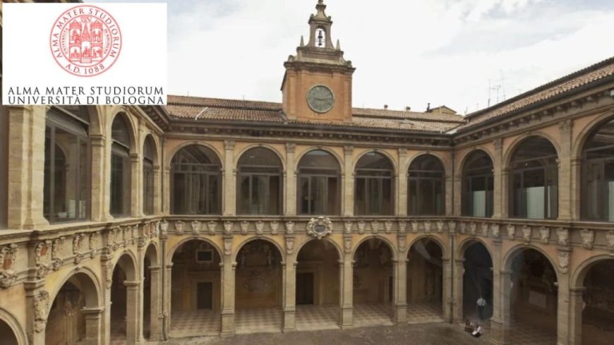 2025 University of Bologna Scholarships In Italy | Fully Funded