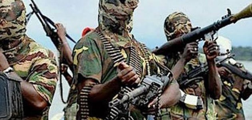 Houses, schools destroyed as Boko Haram attacks Adamawa villages