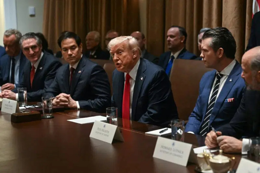 You’re out if unhappy with Musk – Trump tells cabinet members