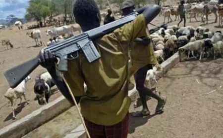 Six killed in fresh armed herdsmen attack in Benue community