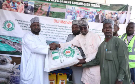 NEDC distributes Ramadan palliatives to 10,000 Borno vulnerable groups, PWDs