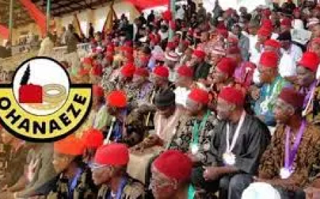 Ohanaeze Ndigbo to amend constitution, calls for suggestions
