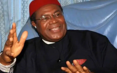 How Nigeria maltreated Igbo for decades — Okwesilieze Nwodo
