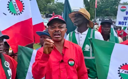 Further hike in electricity tariff ‘ll be resisted — NLC