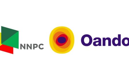 NNPC/Oando Graduate Acceleration Program (OGAP) For Nigerians 2025 | How To Apply