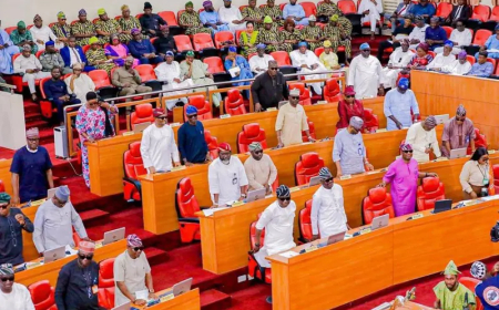 Lagos Assembly Deputy Chief Whip resigns