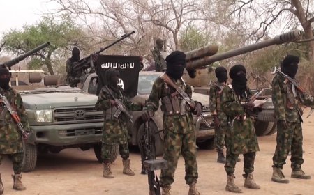 Boko Haram abducts army varsity Professor, others in Borno