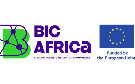 BIC Africa Acceleration Programme 2025 | How To Apply
