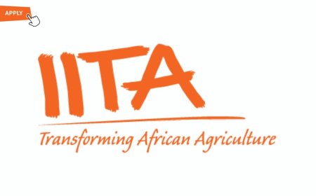 Job at IITA – International Institute of Tropical Agriculture