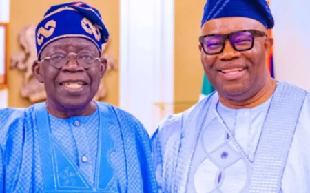 Sexual harassment allegation is plot to remove Akpabio, stop Tinubu’s 2nd term – PANDEF