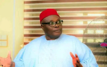 Abia:PDP expels Wabara over alleged anti party activities