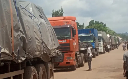 ACF condemns attacks on drivers of trucks in South East