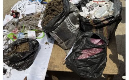 Police neutralise 16, nab 300 over criminal offences in FCT