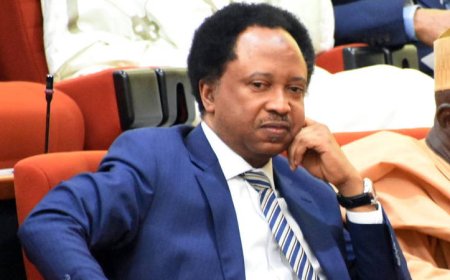 I nearly got suspended for revealing senators’ allowances in 2018 – Shehu Sani