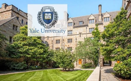 2025 Yale University Scholarships in USA | How To Apply