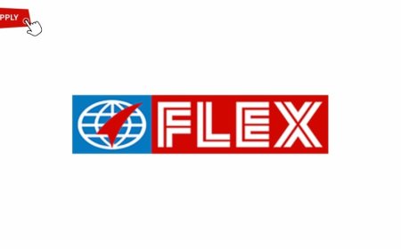 2025 Graduate Engineer Trainee at FlexFilms Nigeria