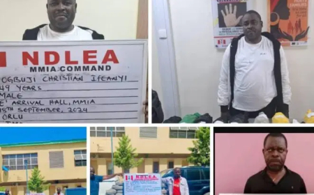 Four drug kingpins jailed for 95 years over N4.6bn narcotics trafficking