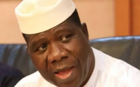 Natasha Akpoti-Uduaghan suspended for misconduct only – Senate Leader