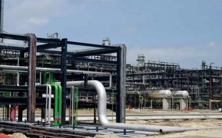 How we are expanding gas dominance with new supply pact, by Ezeala, MD, NNPC Gas Ltd