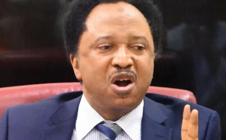 Why I lost my senate re-election bid in 2019 – Shehu Sani