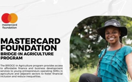 2025 Mastercard Foundation BRIDGE-in Agriculture Program | How To Apply