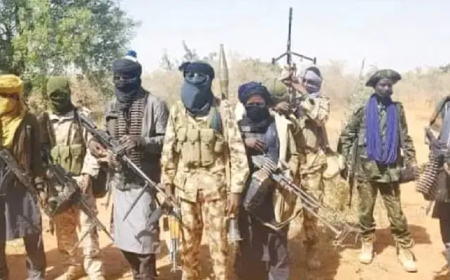 Lakurawa terrorists kill 13, burn 7 villages in latest Kebbi attack