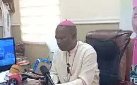 Arrested kidnapper of Catholic priests not a mass server or cleric – Bishop Mamza