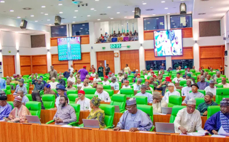 Reps urge NCC to block all pornographic Websites in Nigeria