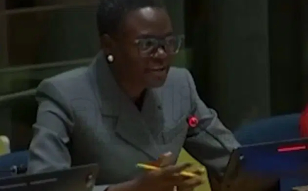 We‘ll take action after listening to both sides – IPU assures Natasha