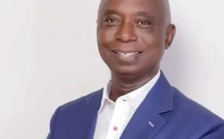 PDP drags Ned Nwoko to court, wants by-election conducted for his seat