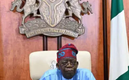FG vetting candidates for ambassadorial posts, 18 months after recall — Report