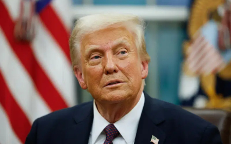 Egypt, Hamas, PLO hail Trump remarks on not ‘expelling’ Palestinians