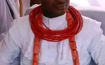Tinubu must call Wike to order for insulting Ijaw Nation – Smith