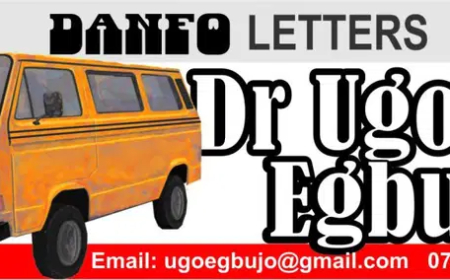 An Uncommon Letter to Senator Natasha, by Ugoji Egbujo